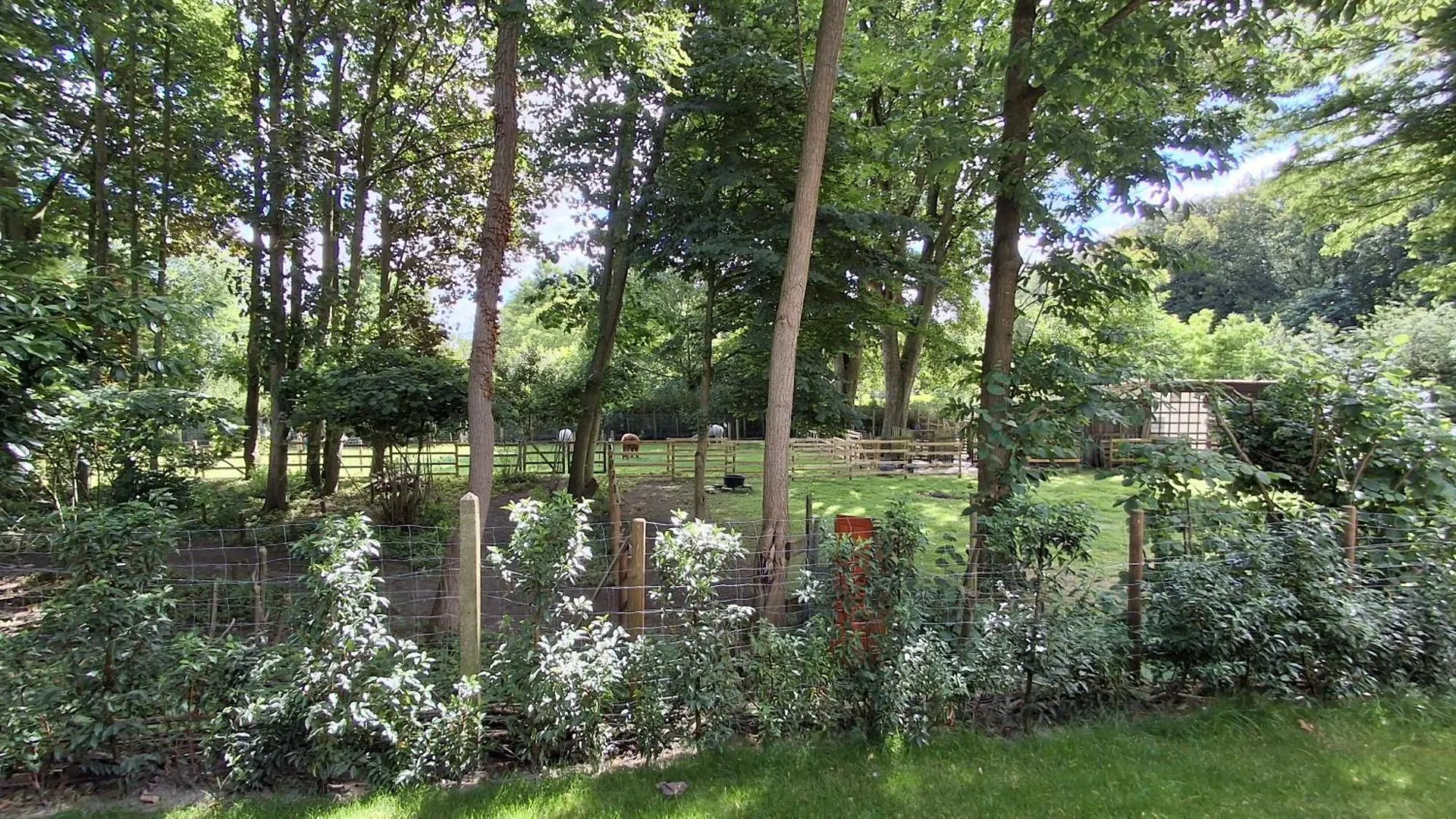 Gasthuis Prive Studio In Groene Omgeving Van Brugge Gratis Fietsen & Parkeerplaats