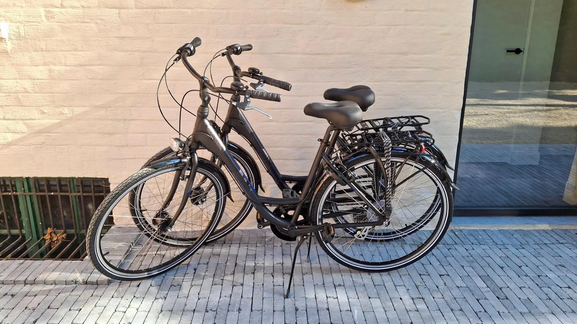 Prive Studio In Groene Omgeving Van Brugge Gratis Fietsen & Parkeerplaats België